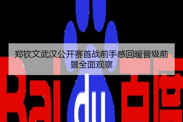 郑钦文武汉公开赛首战前手感回暖晋级前景全面观察